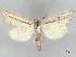  ( - BIOUG74608-A02)  @11 [ ] CreativeCommons - Attribution (2021) CBG Photography Group Centre for Biodiversity Genomics