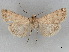  ( - BIOUG74608-B01)  @11 [ ] CreativeCommons - Attribution (2021) CBG Photography Group Centre for Biodiversity Genomics