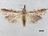 ( - BIOUG74608-C09)  @11 [ ] CreativeCommons - Attribution (2021) CBG Photography Group Centre for Biodiversity Genomics