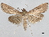  ( - BIOUG74608-D03)  @11 [ ] CreativeCommons - Attribution (2021) CBG Photography Group Centre for Biodiversity Genomics
