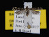  ( - KSLEP1063-17)  @12 [ ] Copyright (2017) Kenneth H Stead Canadian National Collection of Insects, Arachnids and Nematodes