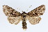  ( - KS0172)  @14 [ ] Unspecified (default): All Rights Reserved  Unspecified Unspecified