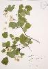  ( - AP444)  @11 [ ] Unspecified (default): All Rights Reserved  Unspecified Unspecified