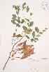  ( - AP388)  @11 [ ] Unspecified (default): All Rights Reserved  Unspecified Unspecified