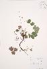  ( - AP465)  @11 [ ] Unspecified (default): All Rights Reserved  Unspecified Unspecified