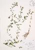  ( - AP358)  @11 [ ] Unspecified (default): All Rights Reserved  Unspecified Unspecified