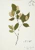  ( - AP243)  @11 [ ] Unspecified (default): All Rights Reserved  Unspecified Unspecified