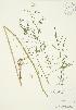  ( - AP342)  @11 [ ] Unspecified (default): All Rights Reserved  Unspecified Unspecified