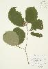  ( - AP345)  @11 [ ] Unspecified (default): All Rights Reserved  Unspecified Unspecified