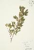  ( - AP403)  @11 [ ] Unspecified (default): All Rights Reserved  Unspecified Unspecified