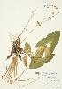  ( - AP220)  @11 [ ] Unspecified (default): All Rights Reserved  Unspecified Unspecified