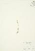 ( - AP174)  @11 [ ] Unspecified (default): All Rights Reserved  Unspecified Unspecified