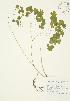  ( - AP026)  @11 [ ] Unspecified (default): All Rights Reserved  Unspecified Unspecified