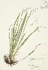  ( - AP034)  @11 [ ] Unspecified (default): All Rights Reserved  Unspecified Unspecified