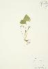 ( - AP011)  @11 [ ] Unspecified (default): All Rights Reserved  Unspecified Unspecified