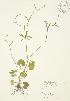  ( - AP023)  @11 [ ] Unspecified (default): All Rights Reserved  Unspecified Unspecified