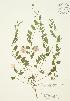  ( - AP127)  @11 [ ] Unspecified (default): All Rights Reserved  Unspecified Unspecified