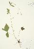  ( - AP146)  @11 [ ] Unspecified (default): All Rights Reserved  Unspecified Unspecified