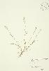  ( - JAG 0033)  @11 [ ] Unspecified (default): All Rights Reserved  Unspecified Unspecified