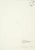 (Wolffia columbiana - AP371)  @11 [ ] Unspecified (default): All Rights Reserved  Unspecified Unspecified