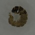  ( - 17KT055)  @11 [ ] CreativeCommons - Attribution (2017) Kitiya Thawarorit PNU Thailand