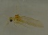  ( - 17KT154)  @11 [ ] CreativeCommons - Attribution (2017) Kitiya Thawarorit PNU Thailand