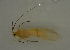  ( - 17KT223)  @11 [ ] CreativeCommons - Attribution (2017) Kitiya Thawarorit PNU Thailand