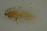  ( - 17KT224)  @11 [ ] CreativeCommons - Attribution (2017) Kitiya Thawarorit PNU Thailand