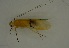  ( - 17KT225)  @11 [ ] CreativeCommons - Attribution (2017) Kitiya Thawarorit PNU Thailand