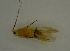  ( - 17KT226)  @11 [ ] CreativeCommons - Attribution (2017) Kitiya Thawarorit PNU Thailand