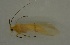  ( - 17KT230)  @11 [ ] CreativeCommons - Attribution (2017) Kitiya Thawarorit PNU Thailand