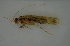  ( - 17KT285)  @11 [ ] CreativeCommons - Attribution (2017) Kitiya Thawarorit PNU Thailand