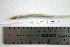  ( - KUT 6741)  @12 [ ] Unspecified (default): All Rights Reserved  University of Kansas Biodiversity Institute (KUBI) Unspecified