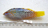  ( - KUT 7135)  @12 [ ] Unspecified (default): All Rights Reserved  University of Kansas Biodiversity Institute (KUBI) Unspecified