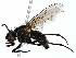  ( - BIOUG89992-D10)  @11 [ ] CreativeCommons - Attribution (2022) CBG Photography Group Centre for Biodiversity Genomics