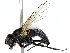  ( - BIOUG89992-G04)  @11 [ ] CreativeCommons - Attribution (2022) CBG Photography Group Centre for Biodiversity Genomics
