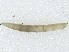  ( - BIOUG91347-C12)  @11 [ ] CreativeCommons - Attribution (2022) CBG Photography Group Centre for Biodiversity Genomics