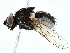  ( - BIOUG97714-A05)  @11 [ ] CreativeCommons - Attribution (2022) CBG Photography Group Centre for Biodiversity Genomics
