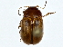  ( - BIOUG91425-C05)  @11 [ ] CreativeCommons - Attribution (2022) CBG Photography Group Centre for Biodiversity Genomics