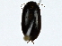  ( - BIOUG91425-F06)  @11 [ ] CreativeCommons - Attribution (2022) CBG Photography Group Centre for Biodiversity Genomics