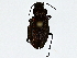  ( - BIOUG91425-H06)  @11 [ ] CreativeCommons - Attribution (2022) CBG Photography Group Centre for Biodiversity Genomics