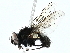  ( - BIOUG97714-E11)  @11 [ ] CreativeCommons - Attribution (2022) CBG Photography Group Centre for Biodiversity Genomics