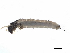  ( - BIOUG97719-E02)  @11 [ ] CreativeCommons - Attribution Non-Commercial Share-Alike (2023) CBG Photography Group Centre for Biodiversity Genomics