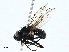  ( - BIOUG99518-D09)  @11 [ ] CreativeCommons - Attribution (2023) CBG Photography Group Centre for Biodiversity Genomics
