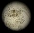  ( - DSB_164)  @11 [ ] Copyright (2016) Pedro Martinez Arbizu German Center for Marine Biodiversity Research