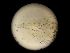  ( - DSB_165)  @11 [ ] Copyright (2016) Pedro Martinez Arbizu German Center for Marine Biodiversity Research