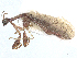  ( - CBG-A58179-H05)  @11 [ ] CreativeCommons - Attribution Share - Alike (2025) CBG Photography Group Centre for Biodiversity Genomics