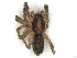  ( - CBG-A58677-H10)  @11 [ ] CreativeCommons - Attribution (2025) CBG Photography Group Centre for Biodiversity Genomics