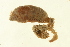  ( - TBLABR-027)  @13 [ ] CreativeCommons - Attribution (2009) Unspecified Centre for Biodiversity Genomics