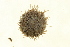  ( - TBLABR-084)  @13 [ ] CreativeCommons - Attribution (2009) Unspecified Centre for Biodiversity Genomics